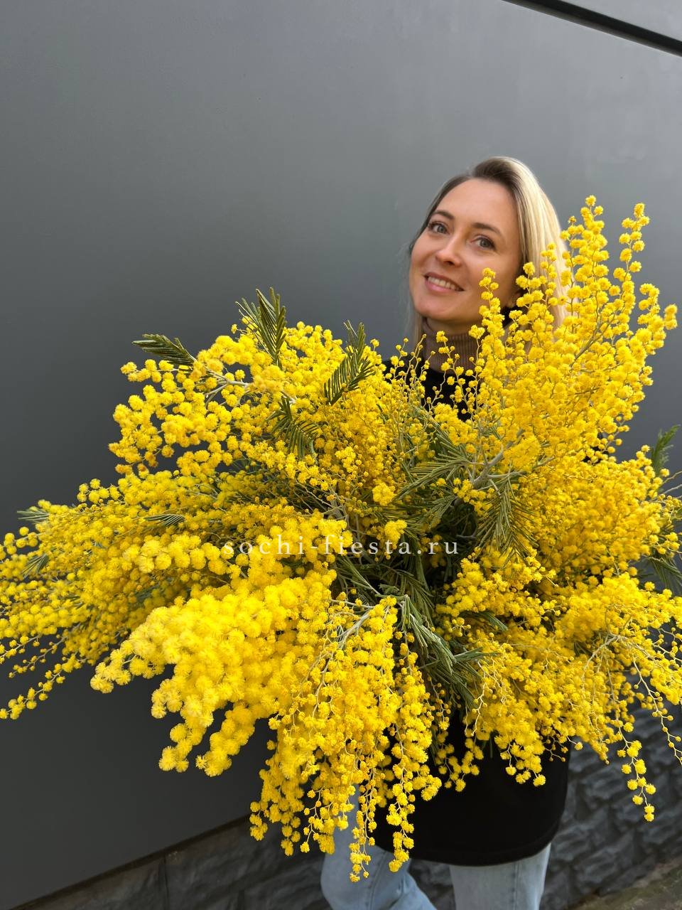 Мимоза