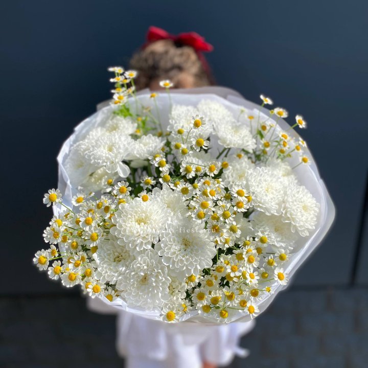Дуо хризантемы и ромашки в Адлере